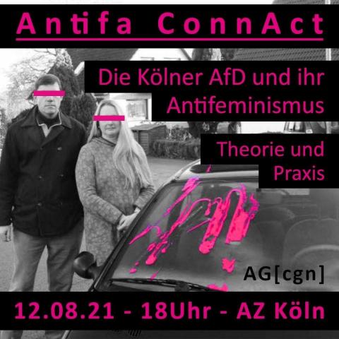 AfD_Antifeminismus.jpeg